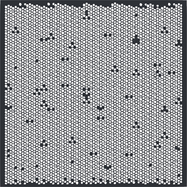 spm20092 mosaique ergot par dampere